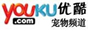 优酷宠物频道